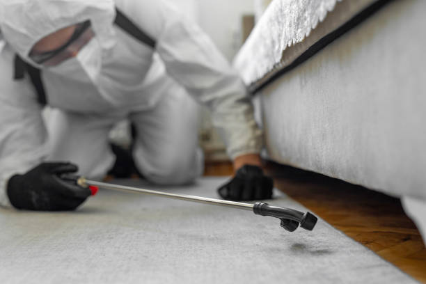 Professional Bed Bug Control technician working in Osceola, AR