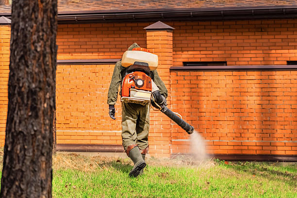 Trusted Fumigation Services service in Osceola, AR - Nex Pest Control